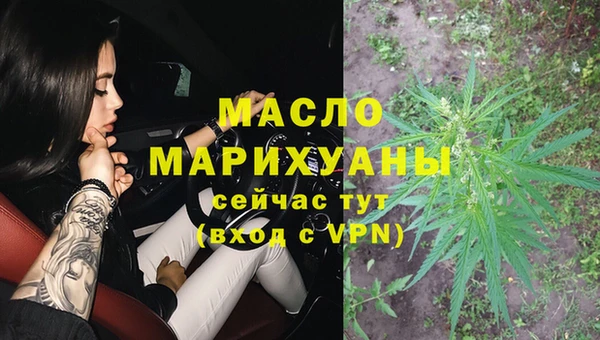 сатива Ельня