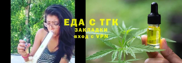 сатива Ельня
