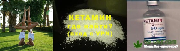 сатива Ельня