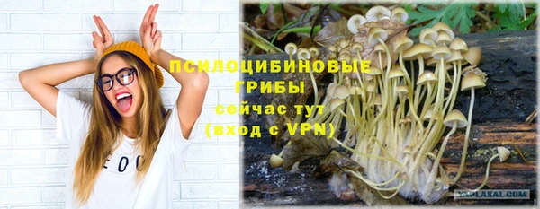 сатива Ельня